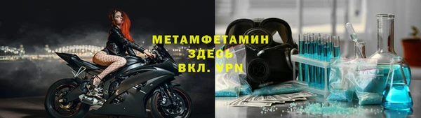 шишки Новодвинск