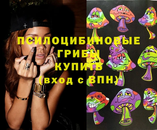 a pvp Абаза